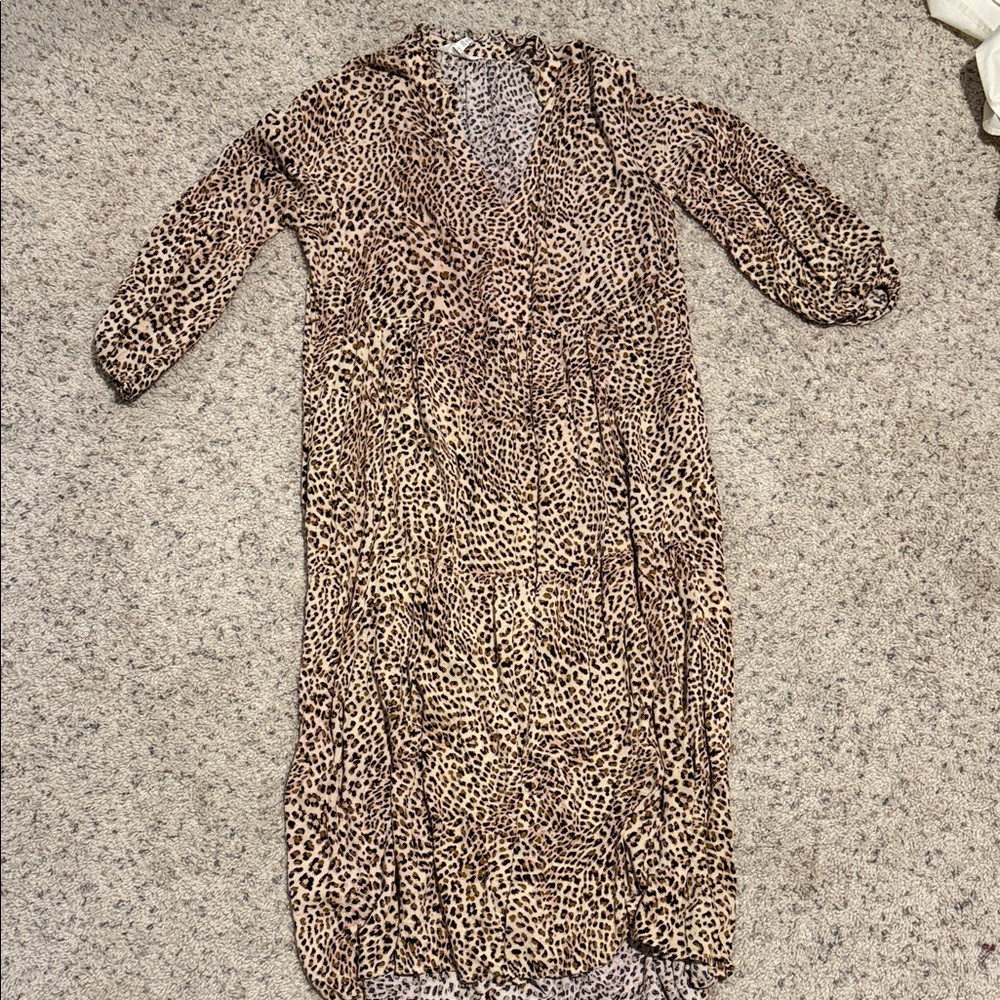 Terra & Sky Animal Print Long Sleeve Dress